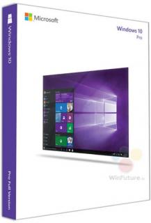 Microsoft Windows 10 Professional DSP 32-bit Operating System Photo