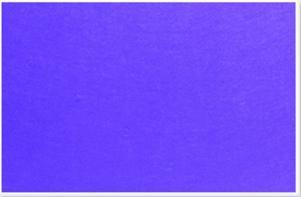 Parrot 1200 x 600mm Plastic Frame Felt Info Board - Purple Photo