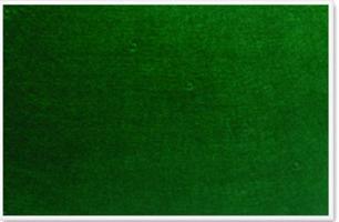 Parrot 1200 x 600mm Plastic Frame Felt Info Board - Green Photo