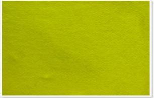 Parrot 1200 x 600mm Plastic Frame Felt Info Board - Yellow Photo
