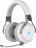 Corsair Virtuoso RGB Wireless High-Fidelity 7.1 Surround Gaming Headset - White & Silver Photo